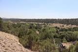  Cl&G Ranch Lots 58-60 - Photo 6