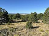 Lot 12 City Ranch Property - Photo 10