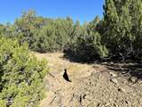 Lot 12 City Ranch Property - Photo 11
