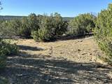 Lot 12 City Ranch Property - Photo 12