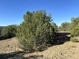Lot 12 City Ranch Property - Photo 13