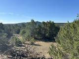 Lot 12 City Ranch Property - Photo 14