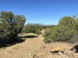 Lot 12 City Ranch Property - Photo 15