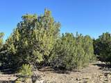 Lot 12 City Ranch Property - Photo 18
