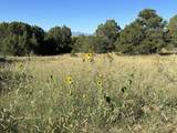 Lot 12 City Ranch Property - Photo 20