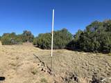 Lot 12 City Ranch Property - Photo 5