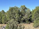 Lot 12 City Ranch Property - Photo 6
