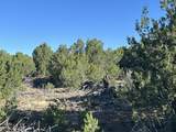 Lot 12 City Ranch Property - Photo 8