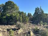 Lot 12 City Ranch Property - Photo 9