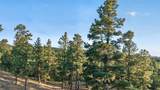 33182 Timber Park Drive - Photo 47