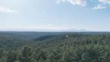 33182 Timber Park Drive - Photo 49