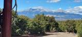 1877 Wilking Rd - Photo 33