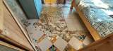1877 Wilking Rd - Photo 8