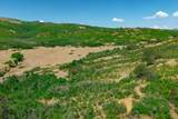  Lot 8 Piney Ridge Ranch - Photo 21