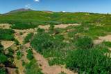  Lot 8 Piney Ridge Ranch - Photo 22