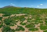  Lot 8 Piney Ridge Ranch - Photo 33