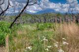  Lot 8 Piney Ridge Ranch - Photo 40
