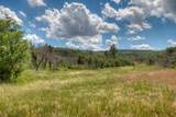  Lot 8 Piney Ridge Ranch - Photo 42
