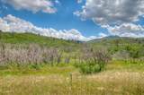  Lot 8 Piney Ridge Ranch - Photo 43