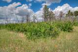  Lot 8 Piney Ridge Ranch - Photo 44