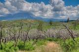  Lot 8 Piney Ridge Ranch - Photo 51