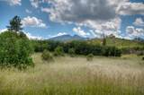  Lot 8 Piney Ridge Ranch - Photo 52
