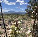  Lots 3&4 Navajo Ranch Estates - Photo 2