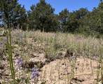  Lots 3&4 Navajo Ranch Estates - Photo 4