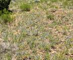  Lots 3&4 Navajo Ranch Estates - Photo 5