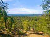 13206 County Road 24.6 Pkwy - Photo 10