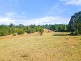 13206 County Road 24.6 Pkwy - Photo 12