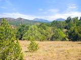 13206 County Road 24.6 Pkwy - Photo 13