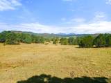 13206 County Road 24.6 Pkwy - Photo 17