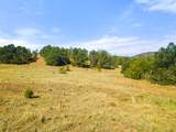 13206 County Road 24.6 Pkwy - Photo 18