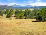 13206 County Road 24.6 Pkwy - Photo 4