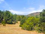 13206 County Road 24.6 Pkwy - Photo 6