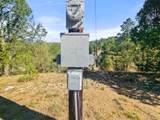 13206 County Road 24.6 Pkwy - Photo 8