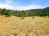 13206 County Road 24.6 Pkwy - Photo 9