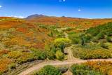 Lot 7 Piney Ridge Ranch - Photo 10