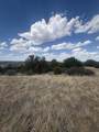Lot 558 Mount Shavano - Photo 9