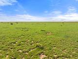TBD County Road 122 - Photo 13