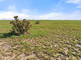 TBD County Road 122 - Photo 15