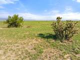 TBD County Road 122 - Photo 3