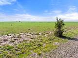 TBD County Road 122 - Photo 4