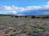 Lot 21 Ghost River Ranch - Photo 6