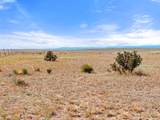 TBD County Road 103 - Photo 11
