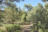 TBD Chipmunk Drive - Photo 10