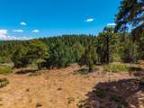 TBD Chipmunk Drive - Photo 15