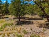 TBD Chipmunk Drive - Photo 17