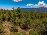 TBD Chipmunk Drive - Photo 20